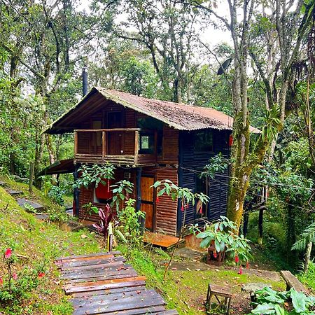 La Cabana Musical Medellín Exterior foto